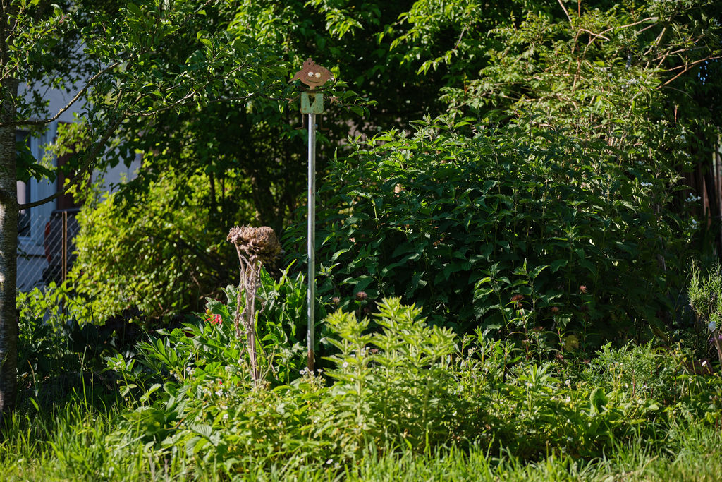 INHL3017-Habitat-Naturgarten