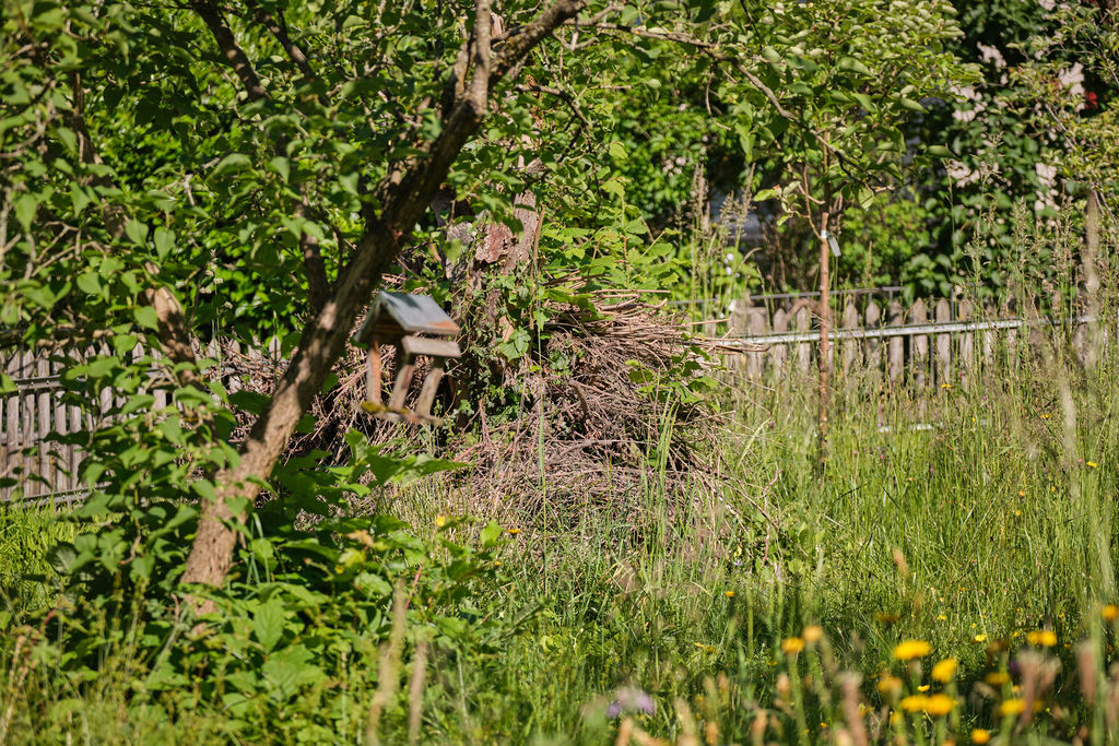 INHL3059-Habitat-Naturgarten
